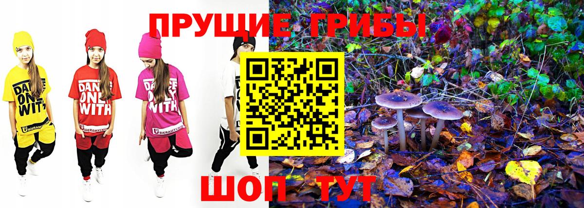 Галлюциногенные грибы Cubensis  Псилоцибиновые грибы Psilocybe  наркошоп  Вход с VPN  Карасук 